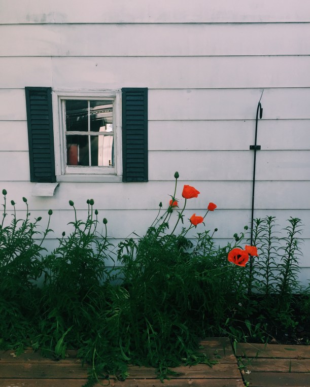 Processed with VSCO with c1 preset