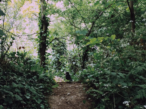 Processed with VSCO with m5 preset